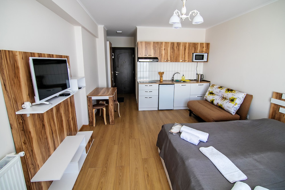 Classic Apartment, 1 Queen Bed with Sofa bed, Mountain View photo 1