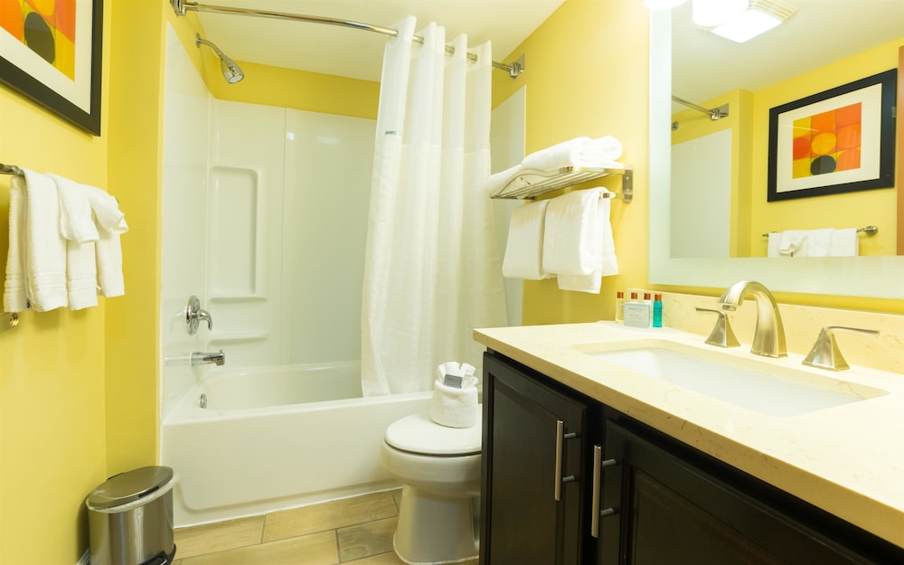 Basic Studio Suite photo 2