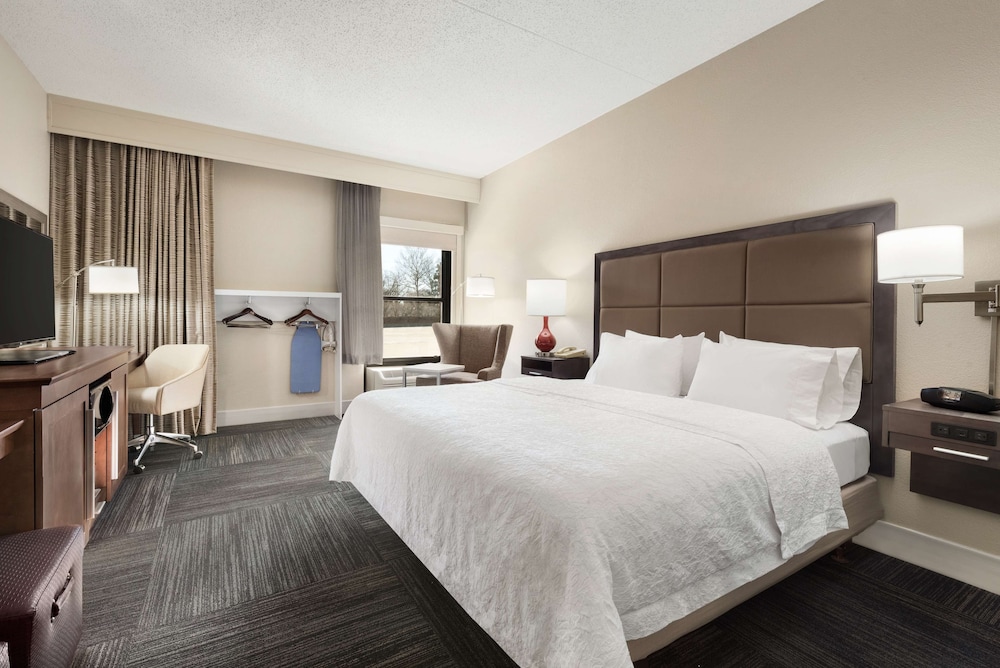 Room, 1 King Bed, Accessible, Bathtub - Photo 1