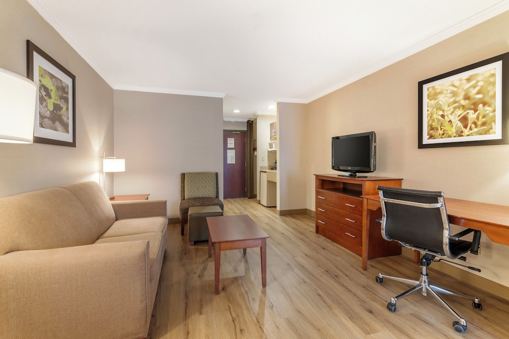 Superior Single Room, Refrigerator & Microwave photo 2