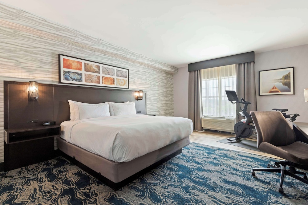 Room, 1 King Bed, Accessible, Bathtub (Mobility & Hearing, Fitness) photo 1