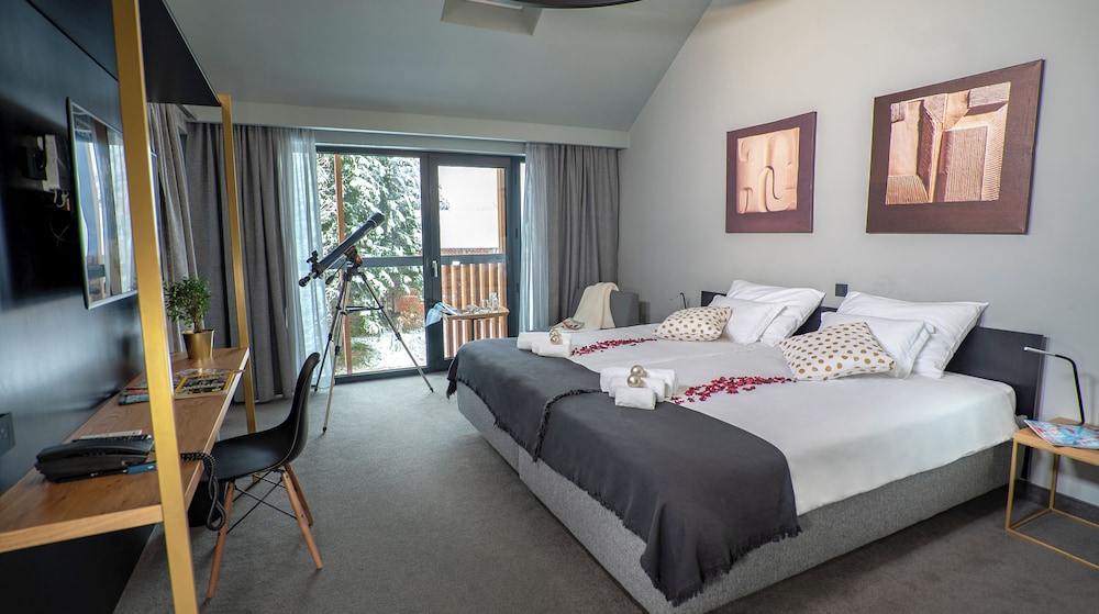 Superior Double Room Single Use