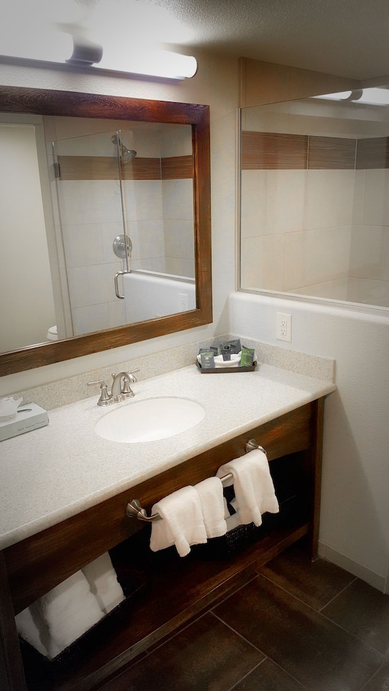 Deluxe Suite, 1 King Bed, Lake View - Photo 2