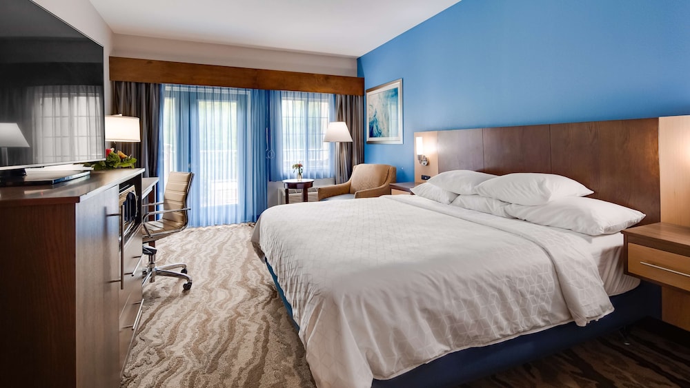 Suite, 1 King Bed, Jetted Tub, River View (with Sofabed) photo 2