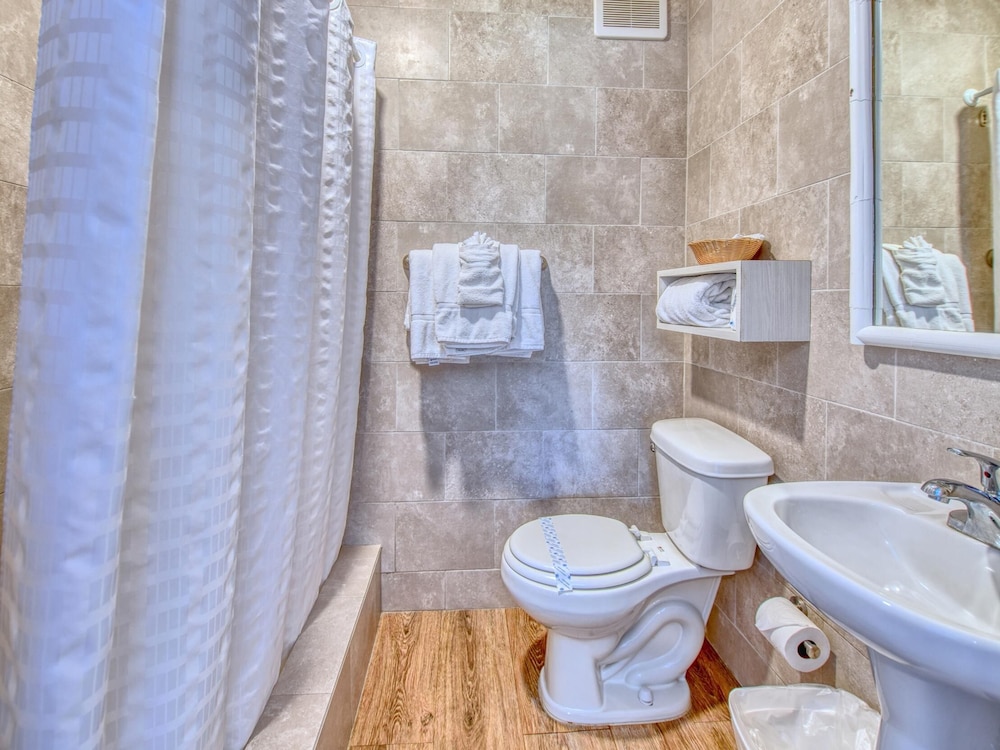 Studio, 1 King Bed, Kitchenette photo 3