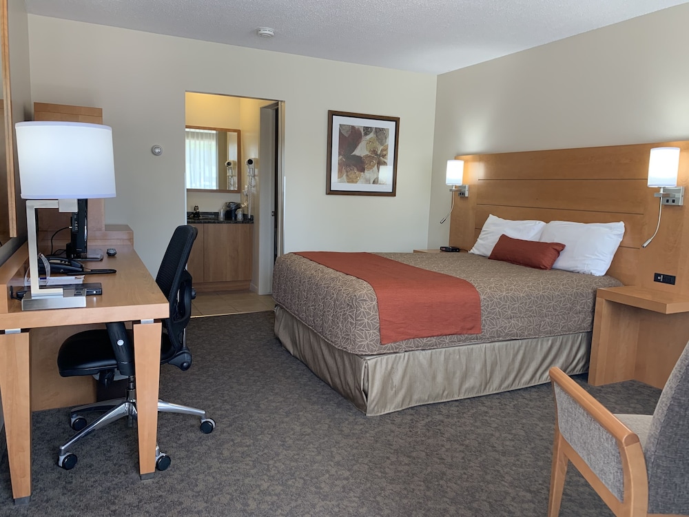Business Room, 1 Queen Bed photo 1