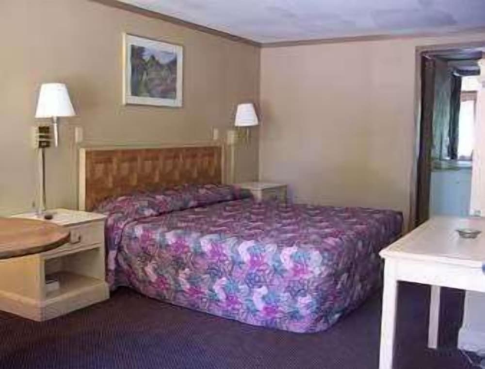 Room, 1 King Bed photo 2