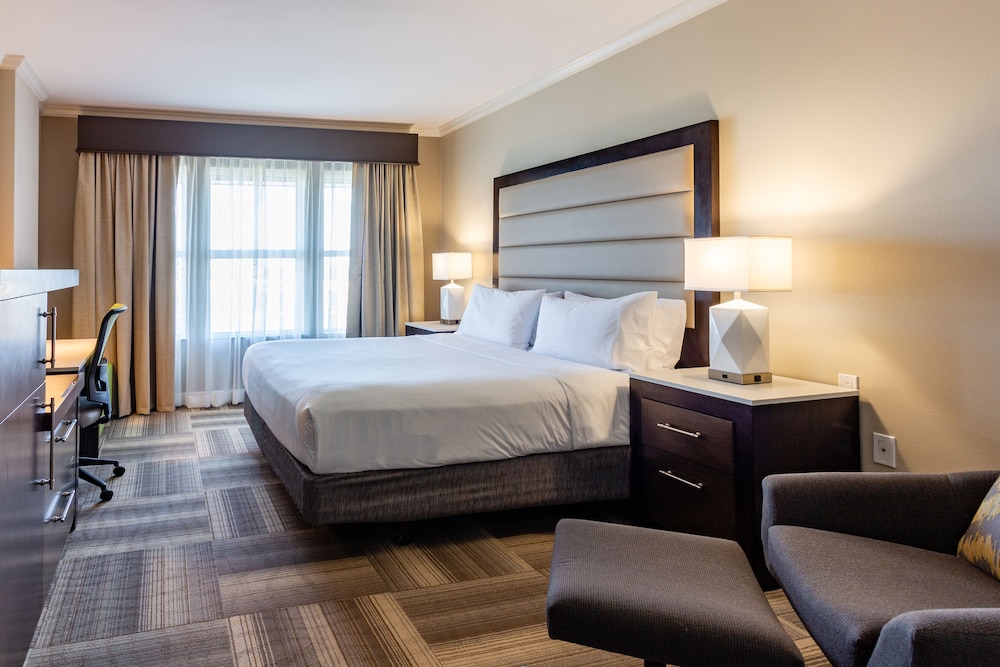 Standard Room, 1 King Bed, Accessible (Accessible Tub) - Photo 3