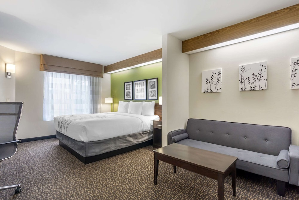 Suite, 1 King Bed with Sofa bed, Non Smoking - Photo 4