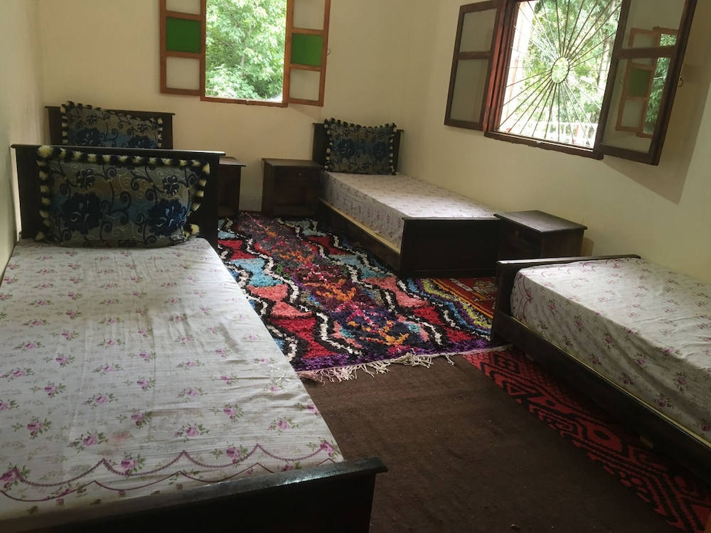 Family Room, Multiple Beds photo 2