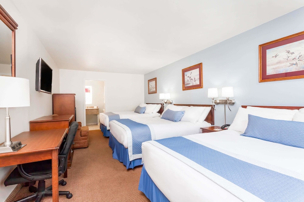 Studio Suite, Multiple Beds, Non Smoking photo 2
