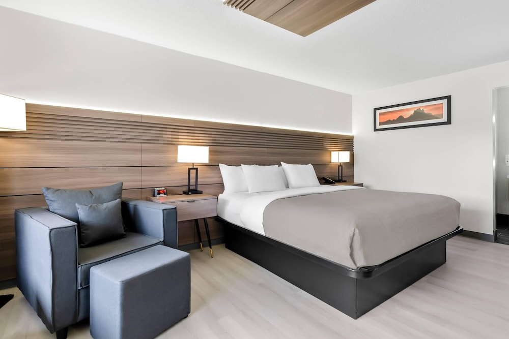 Standard Room, 1 King Bed, Non Smoking - Photo 4