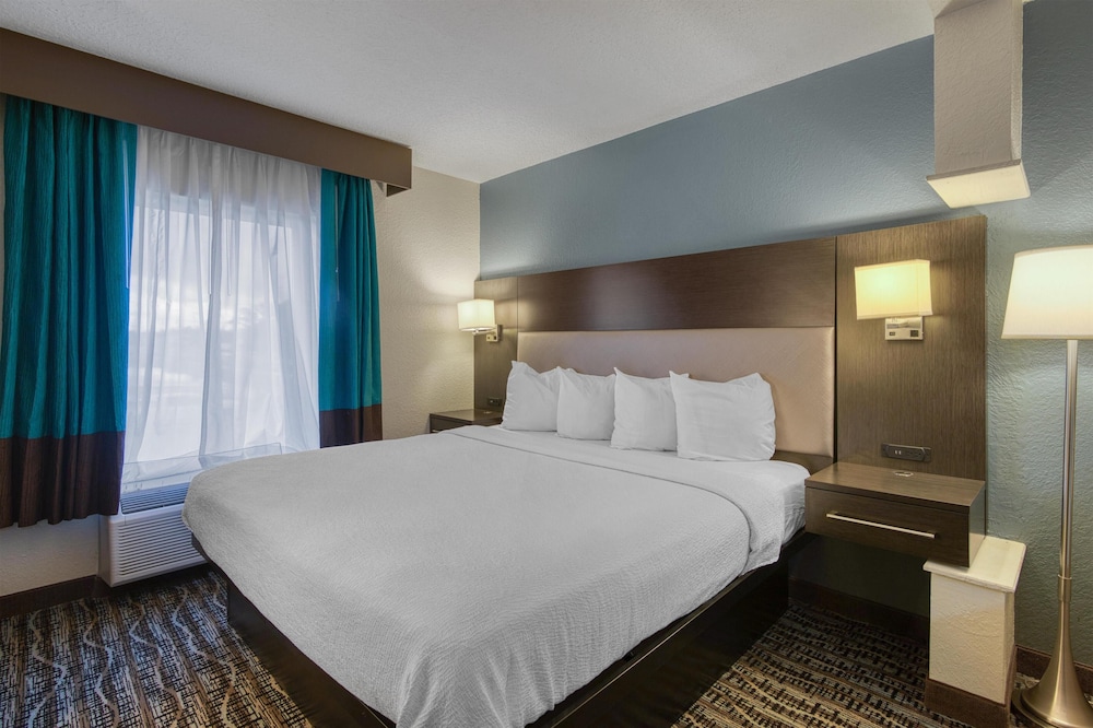 Suite, 1 King Bed, Non Smoking, Refrigerator & Microwave (with Sofabed) - Photo 1