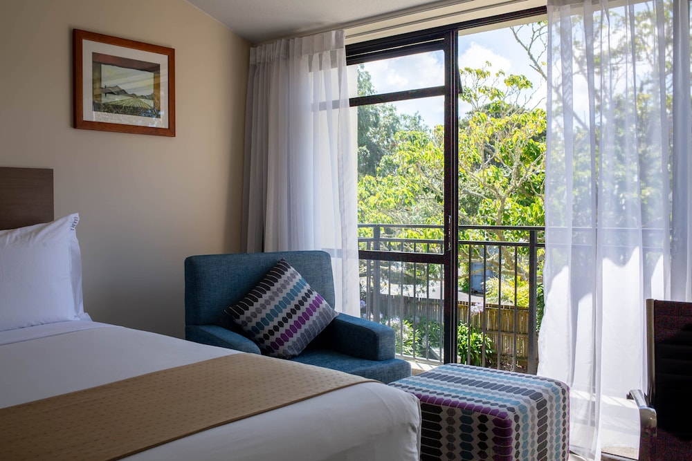 Suite, 1 Bedroom - Photo 12