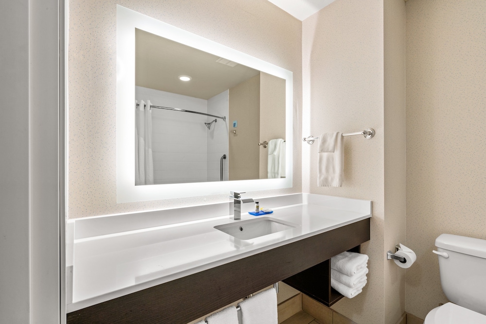 Standard Room, 1 King Bed, Roll-in Shower (Mobility) - Photo 6