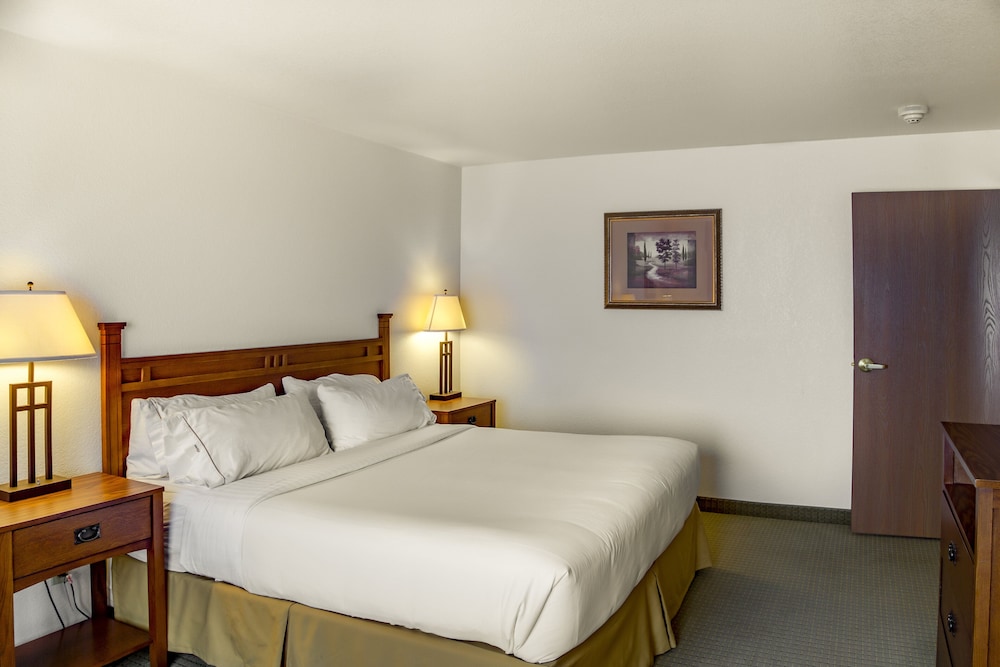 Suite, 1 Bedroom - Photo 2