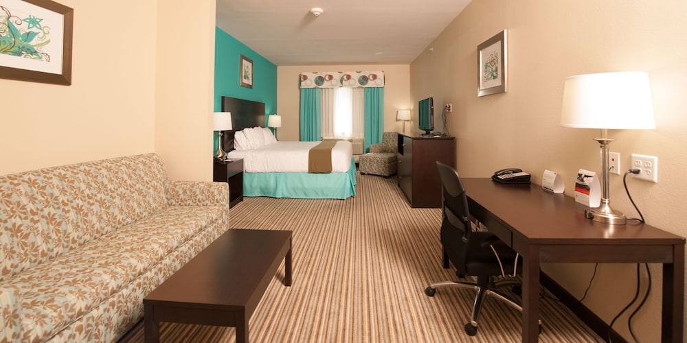 Suite, 1 King Bed - Photo 5