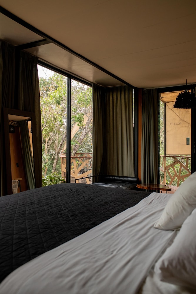 Comfort Suite