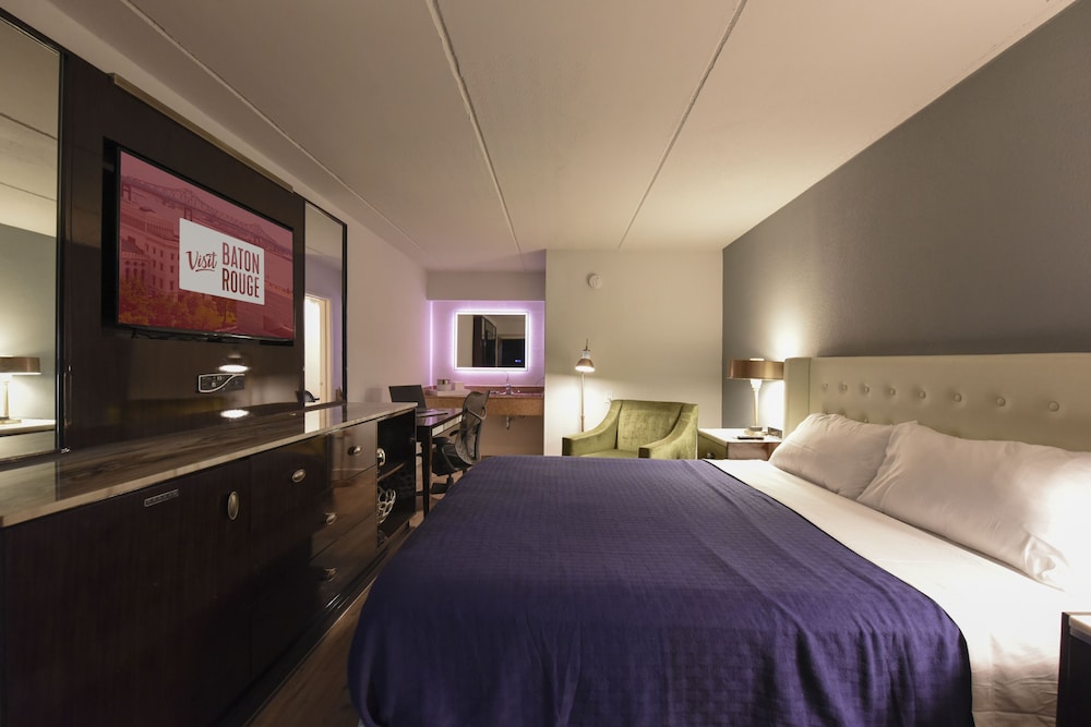 Premium Studio Suite photo 2