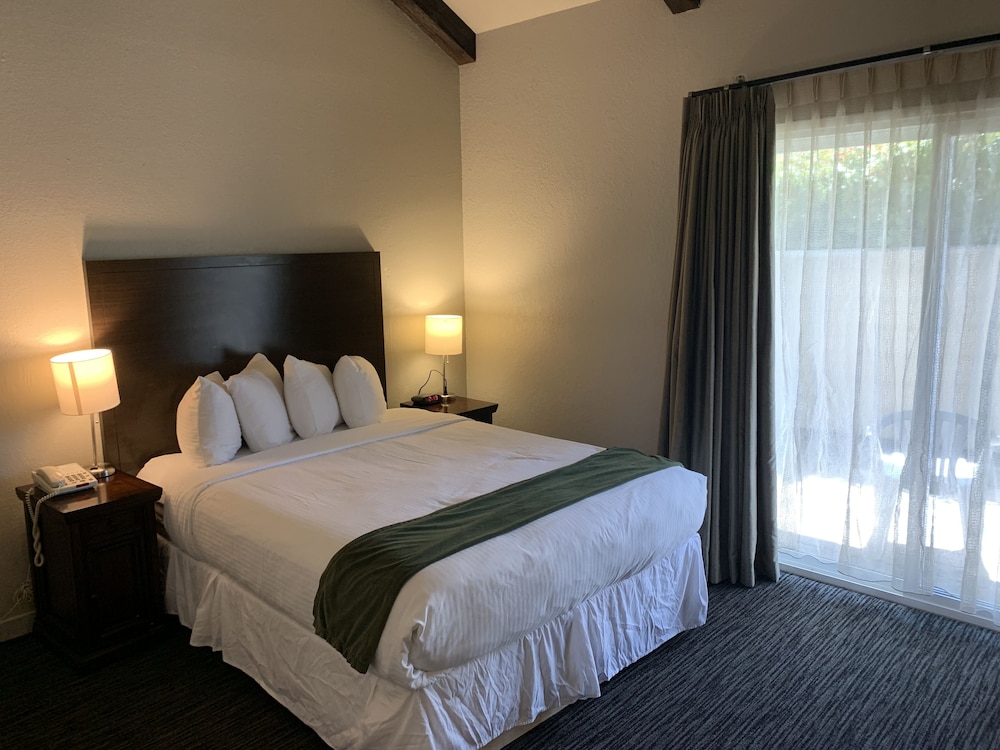 Room, 1 Queen Bed photo 1