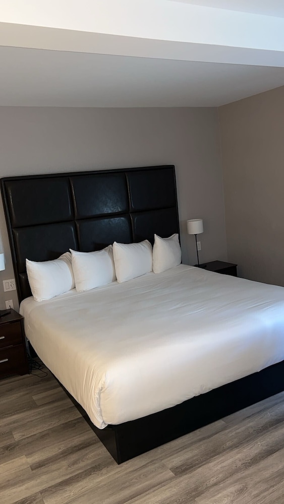 Suite Moyenne, 1 King Bed, Jetted Tub - Non Smoking photo 3