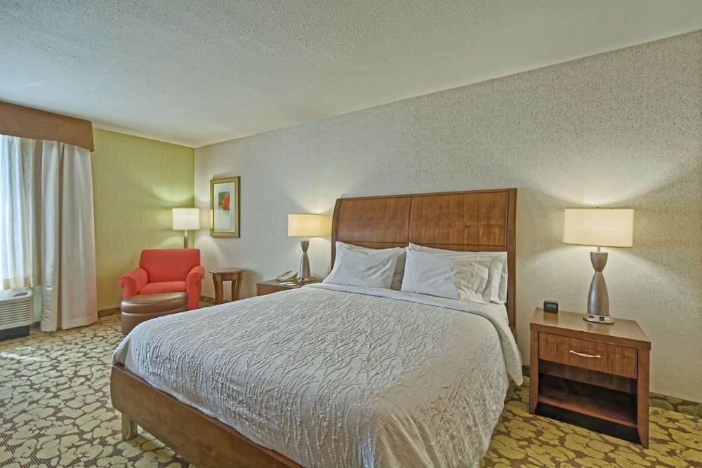 Room, 1 King Bed, Accessible - Photo 2