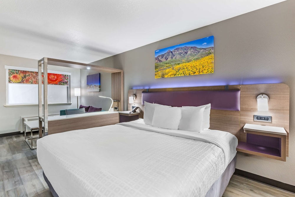 Standard Room, 1 King Bed, Non Smoking, Refrigerator & Microwave (Larger Room;with Sofabed) - Photo 4