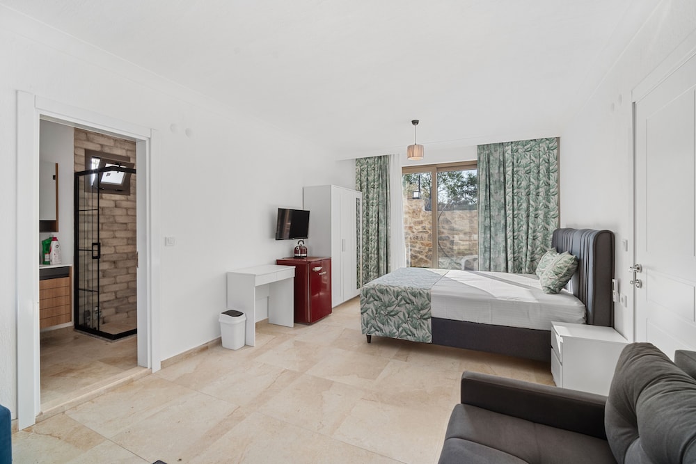 Deluxe Suite photo 3