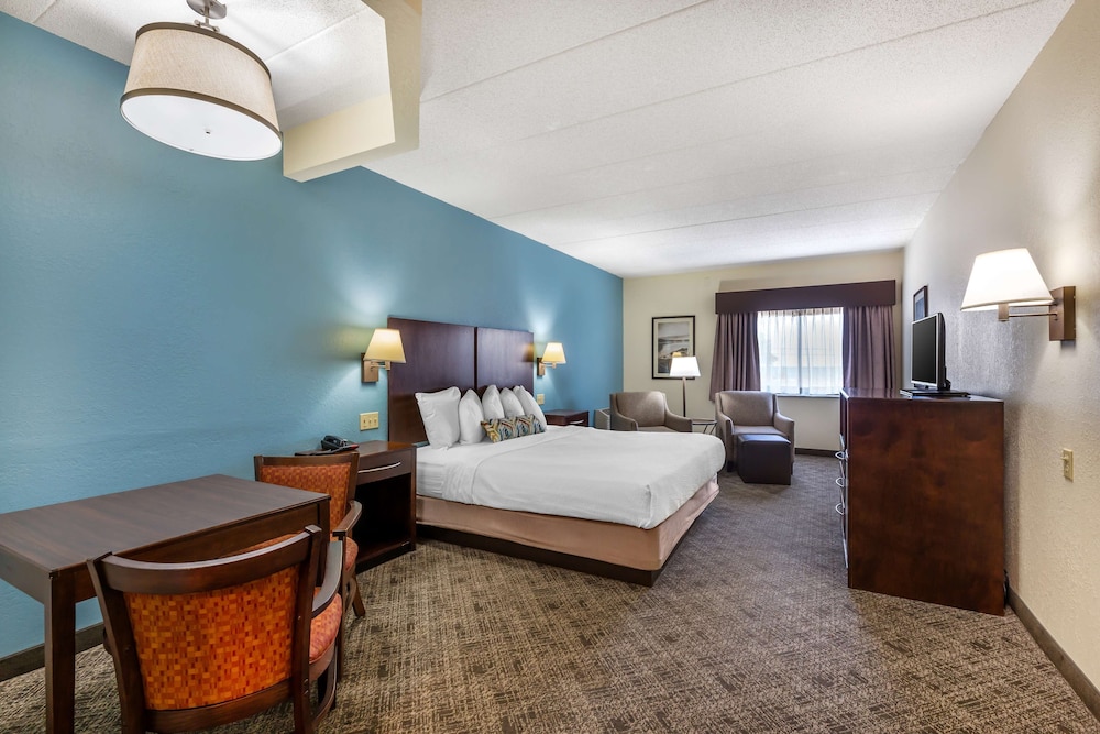 Standard Room, 1 King Bed, Non Smoking, Refrigerator & Microwave - Photo 4