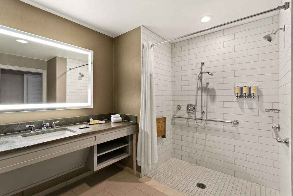 Deluxe Room, 1 King Bed, Accessible, City View (Mobility/Hearing Roll-in Shower) - Photo 4