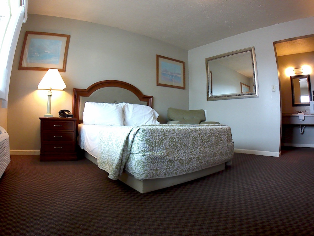 Room, 1 King Bed, Non Smoking, Microwave photo 2