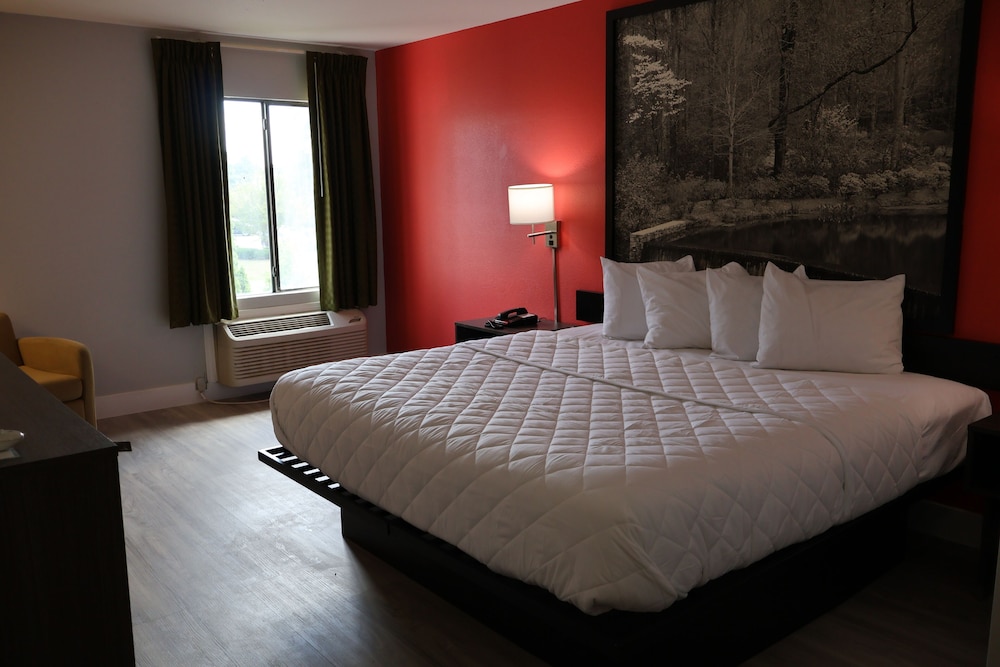 Single Room, 1 King Bed, Non Smoking photo 1