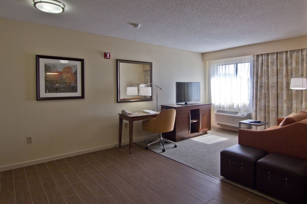 Suite, 1 King Bed, Accessible (No Kitchen, Shower Only) photo 2