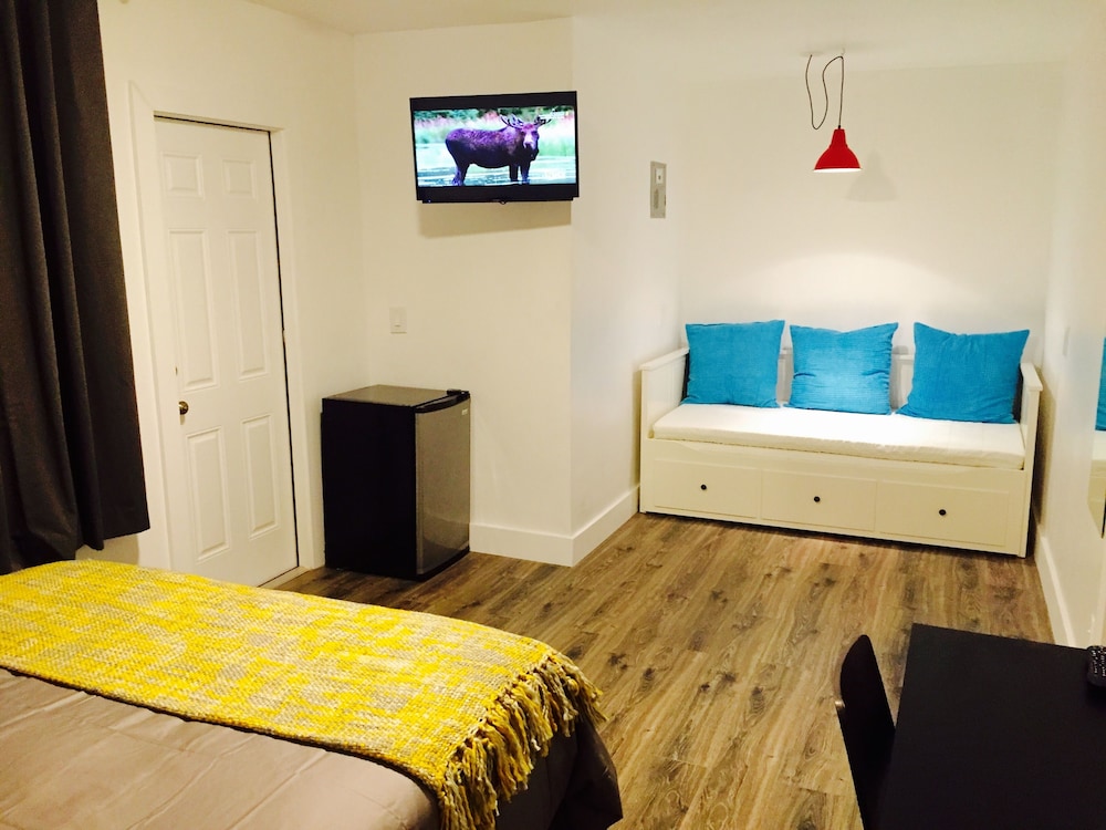 Studio, 1 Queen Bed with Sofa bed photo 2