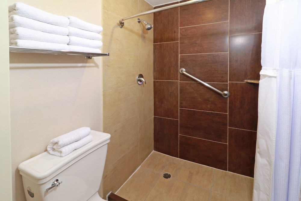 Studio Suite, 1 King Bed, Accessible, Kitchen - Photo 1