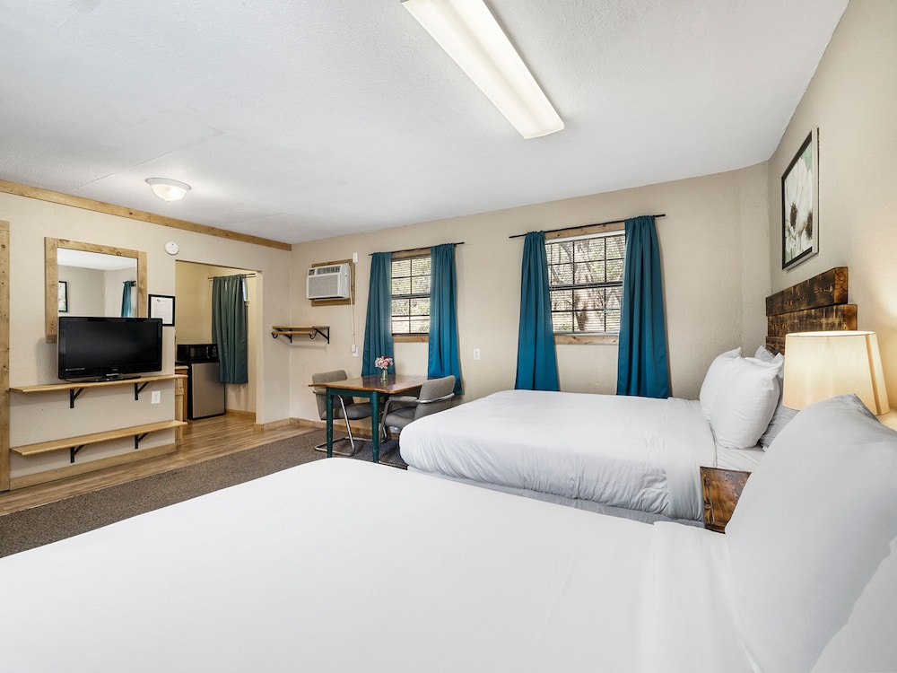 Comfort Studio Suite, 1 Bedroom, Roll-in Shower photo 3