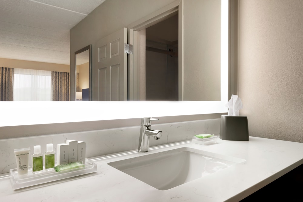 Suite, 1 King Bed - Photo 12