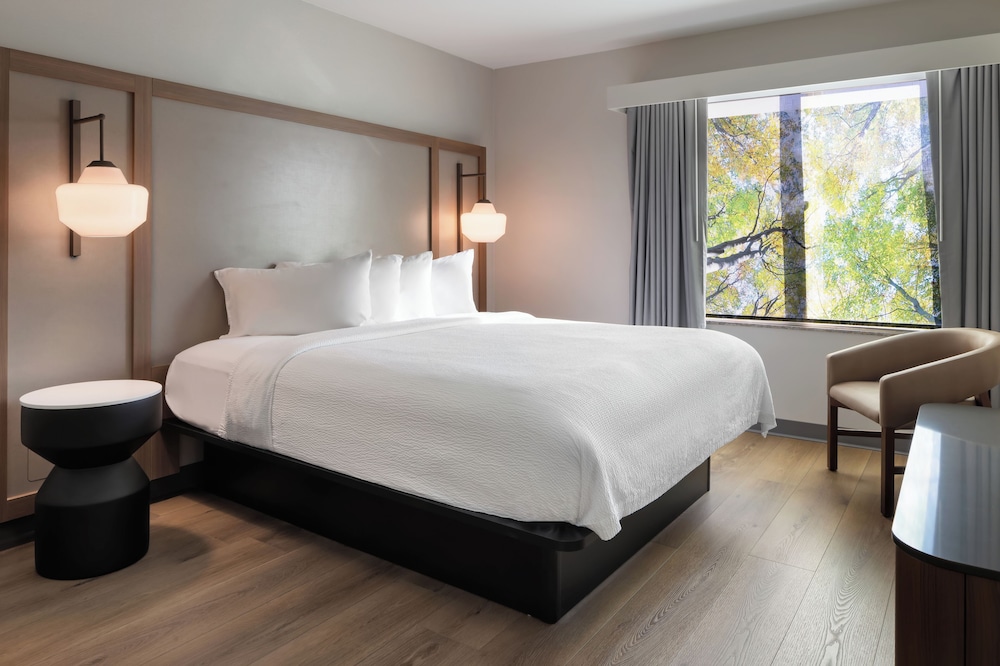Room, 1 King Bed (Hearing Accessible) photo 3