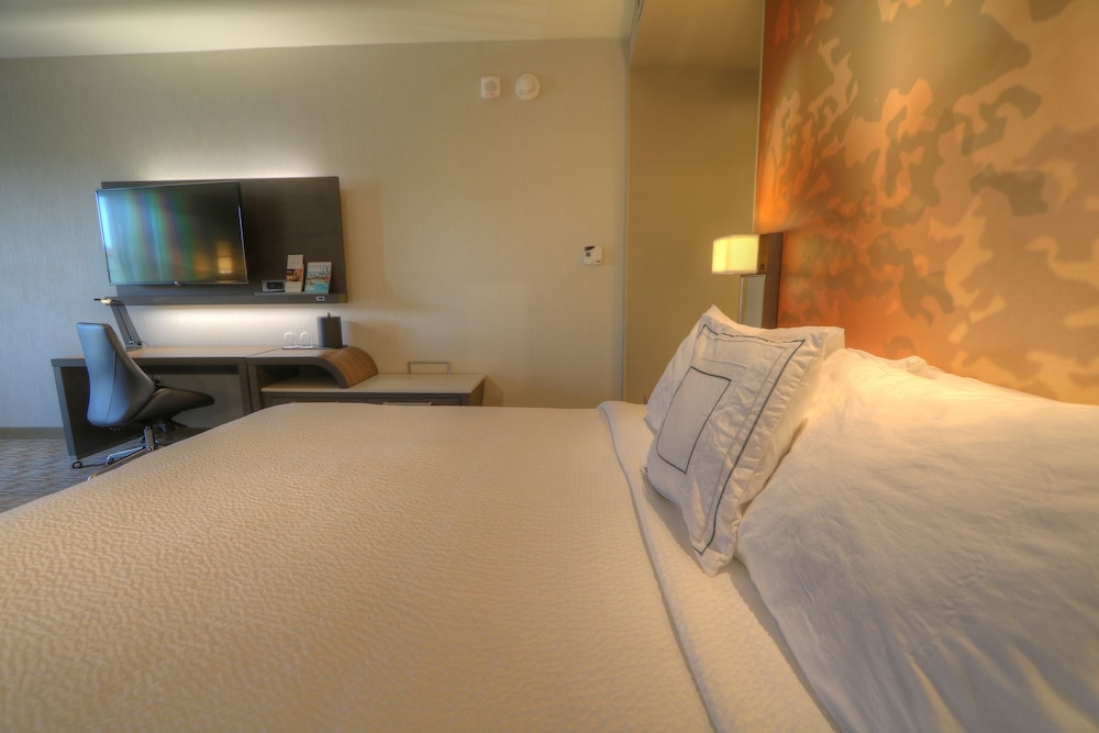 Room, 1 King Bed with Sofa bed, Mountain View (Mobility/Hearing Access, Roll-in Shwr)
