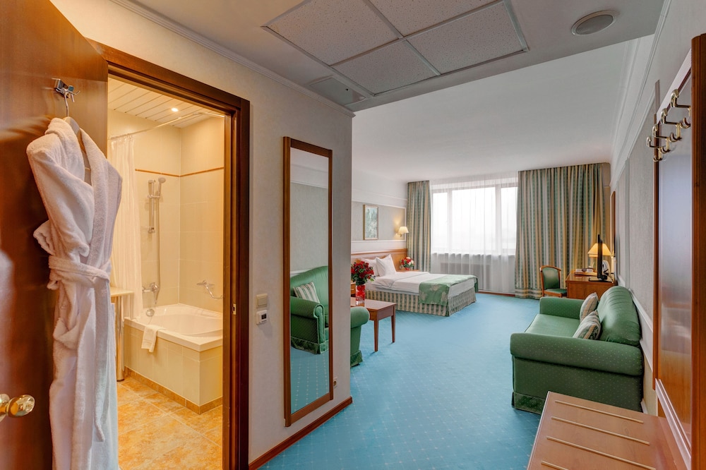 Business Room, 1 Double Bed photo 1