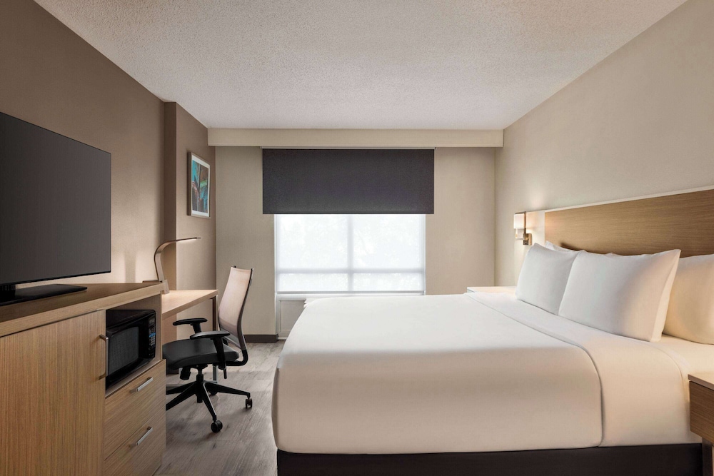 Room, 1 King Bed, Non Smoking (Mobility Accessible) - Photo 6
