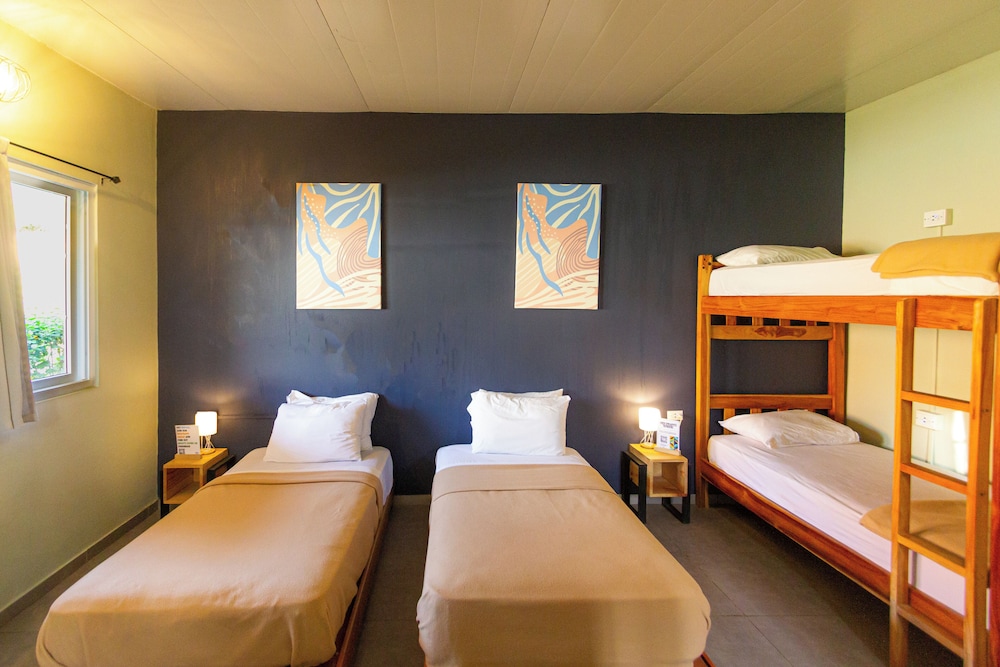 Shared Dormitory photo 1