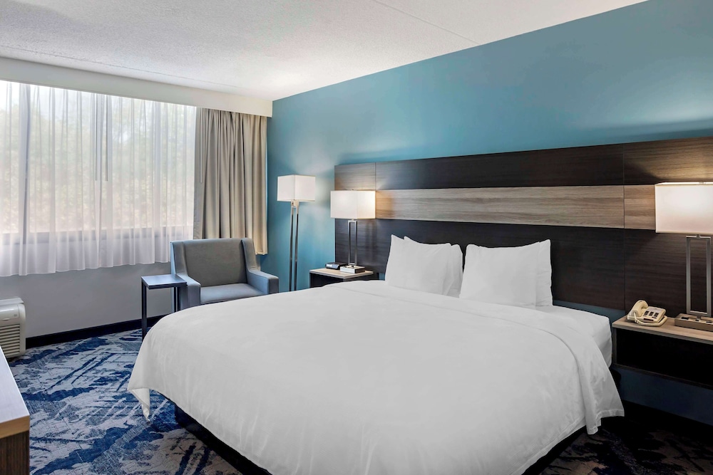 Standard Room,1 King Bed, Accessible, Roll-in Shower, Refrigerator & Microwave - Photo 1