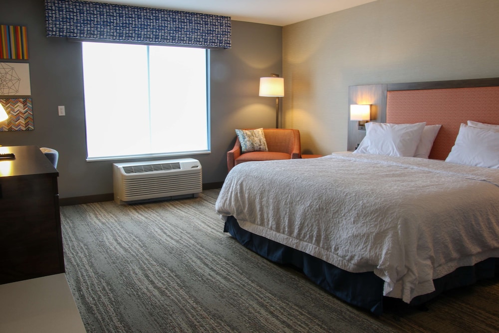 Room, 1 King Bed, Accessible (Roll-In Shower) - Photo 1