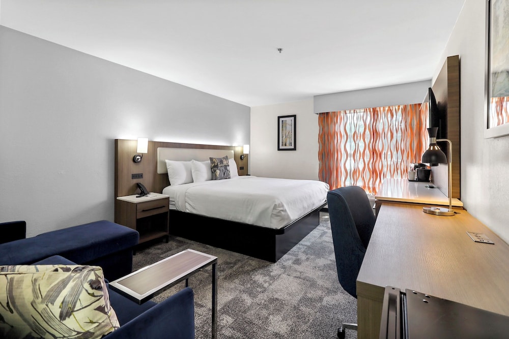 Deluxe Suite, 1 King Bed, Non Smoking (Deluxe Family Suite) - Photo 5