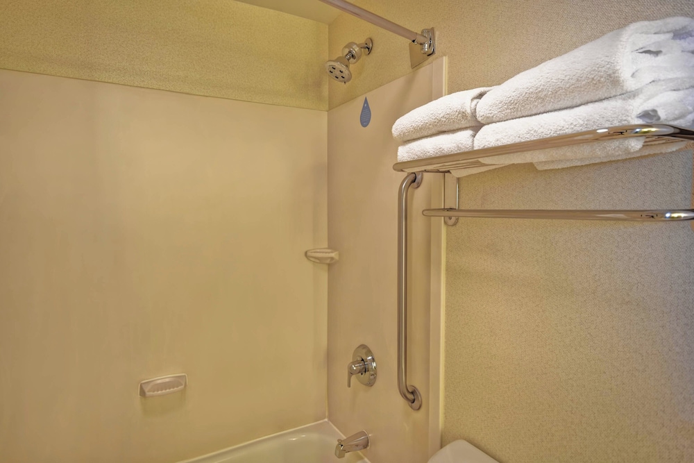 Studio, Multiple Beds - Photo 14