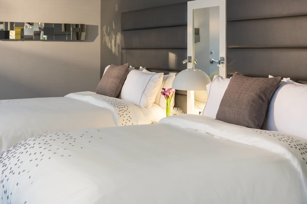 Executive Room, 2 Queen Beds photo 2