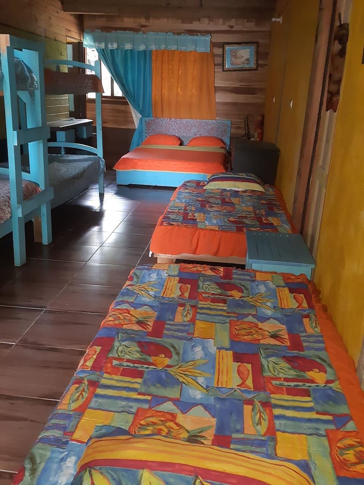 Grand Room, Multiple Beds photo 1