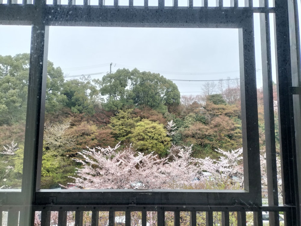 Premier Room, Japanese Futon, Non Smoking