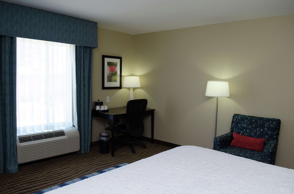 Room, 1 King Bed, Accessible